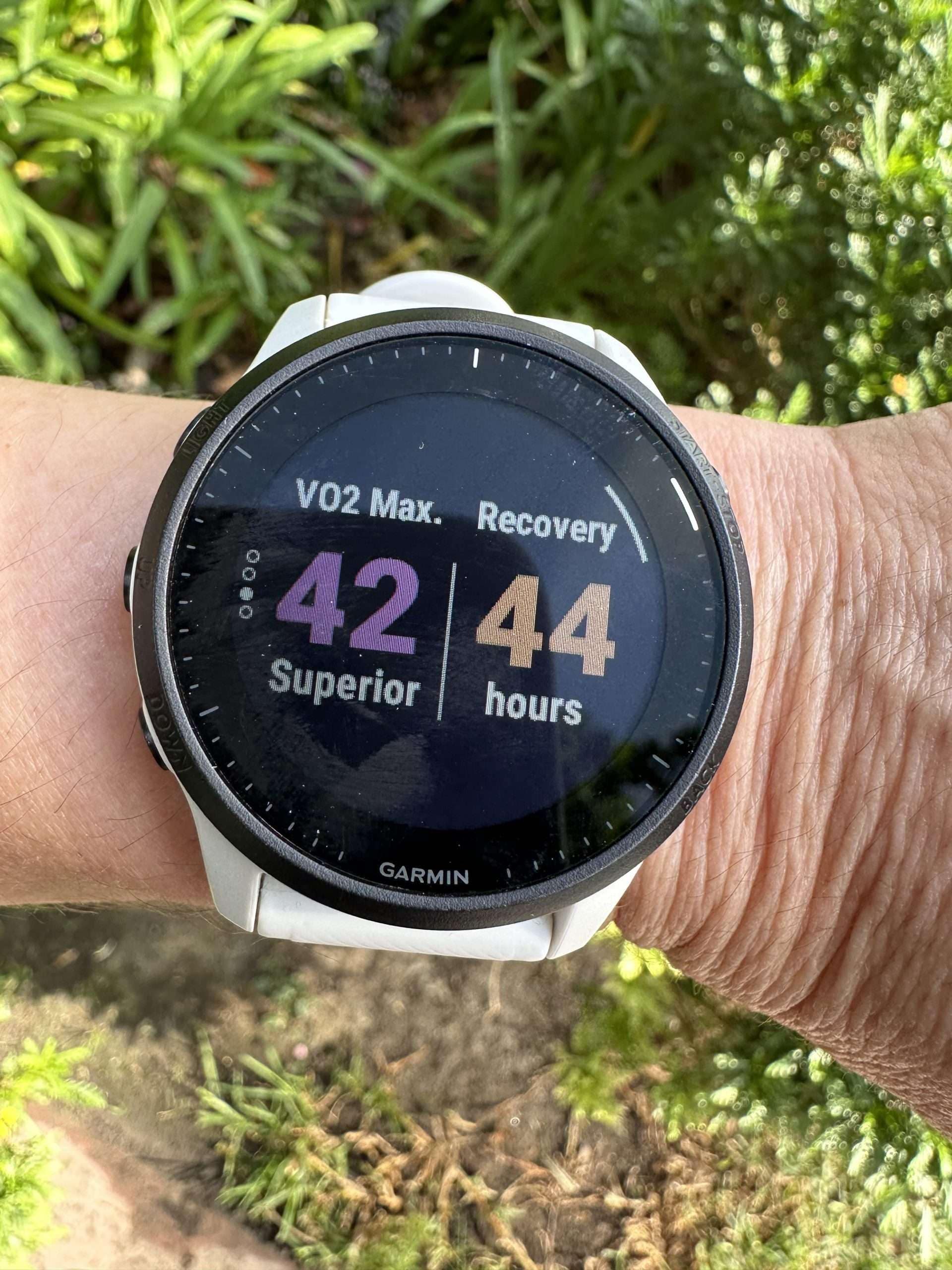 Vo2mx VO2 Max Units What They Mean and Why They Matter